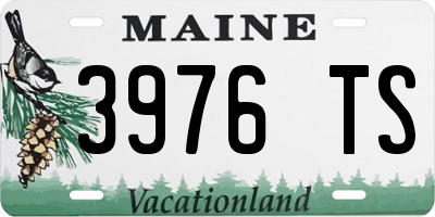 ME license plate 3976TS