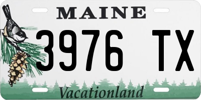 ME license plate 3976TX