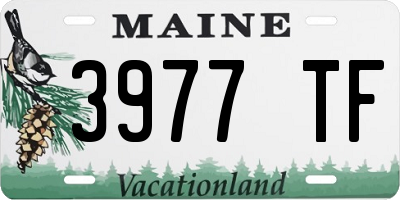 ME license plate 3977TF