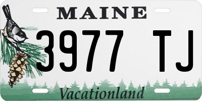 ME license plate 3977TJ