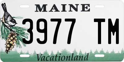 ME license plate 3977TM