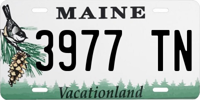 ME license plate 3977TN