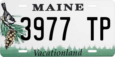 ME license plate 3977TP