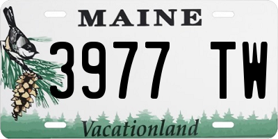 ME license plate 3977TW