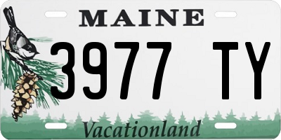 ME license plate 3977TY