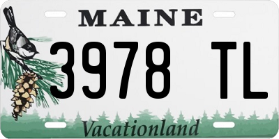 ME license plate 3978TL