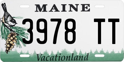 ME license plate 3978TT