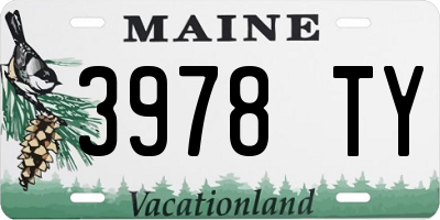 ME license plate 3978TY