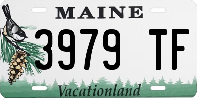 ME license plate 3979TF