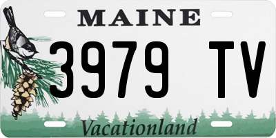 ME license plate 3979TV