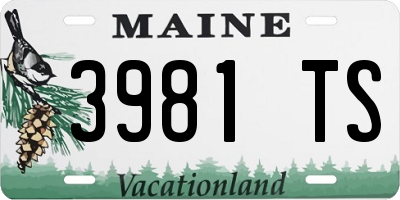 ME license plate 3981TS