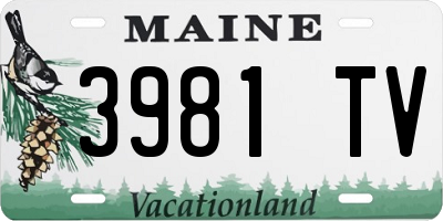 ME license plate 3981TV