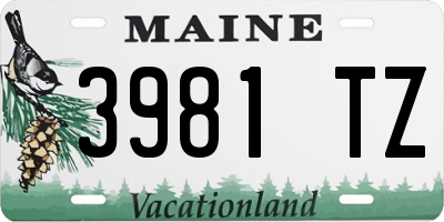 ME license plate 3981TZ