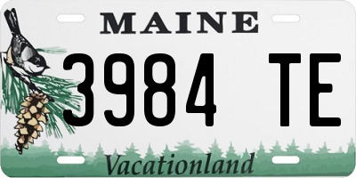 ME license plate 3984TE
