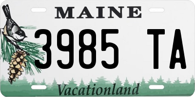 ME license plate 3985TA