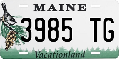 ME license plate 3985TG
