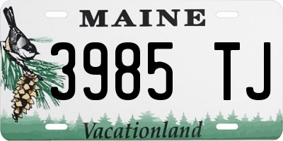 ME license plate 3985TJ