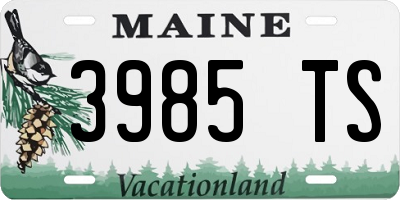 ME license plate 3985TS