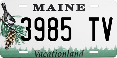 ME license plate 3985TV