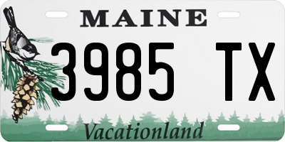 ME license plate 3985TX