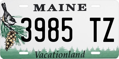 ME license plate 3985TZ