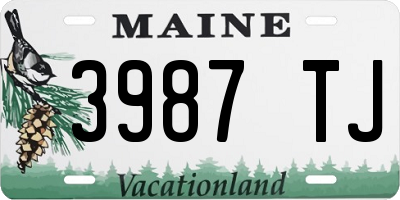 ME license plate 3987TJ