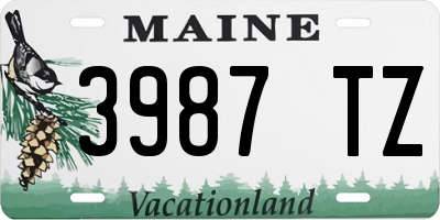 ME license plate 3987TZ