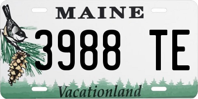 ME license plate 3988TE
