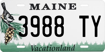ME license plate 3988TY