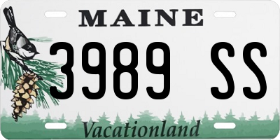 ME license plate 3989SS