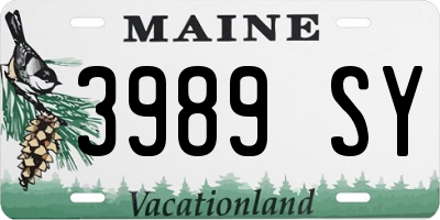 ME license plate 3989SY