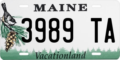ME license plate 3989TA