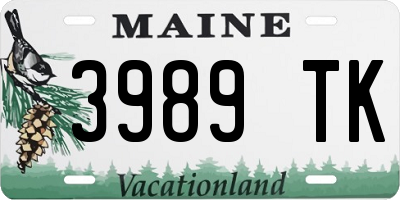 ME license plate 3989TK