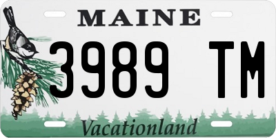 ME license plate 3989TM