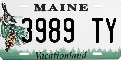 ME license plate 3989TY