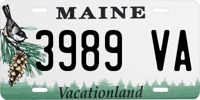 ME license plate 3989VA