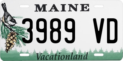 ME license plate 3989VD