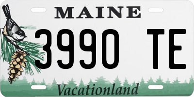 ME license plate 3990TE