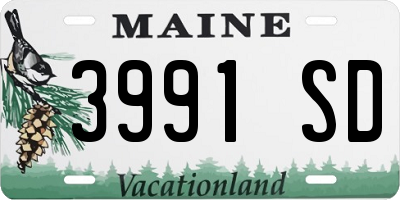 ME license plate 3991SD