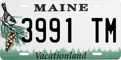 ME license plate 3991TM