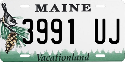 ME license plate 3991UJ