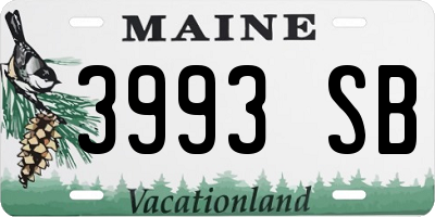 ME license plate 3993SB