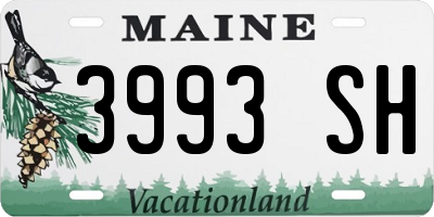 ME license plate 3993SH