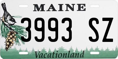 ME license plate 3993SZ