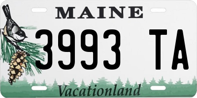 ME license plate 3993TA