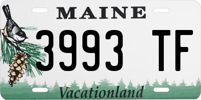 ME license plate 3993TF