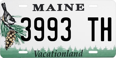 ME license plate 3993TH