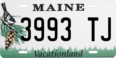 ME license plate 3993TJ