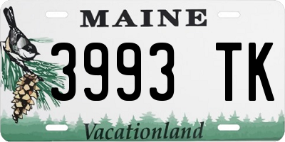 ME license plate 3993TK