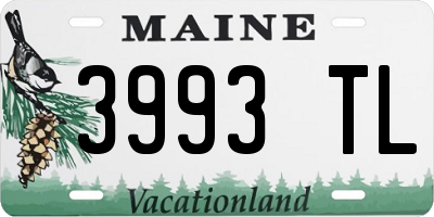ME license plate 3993TL